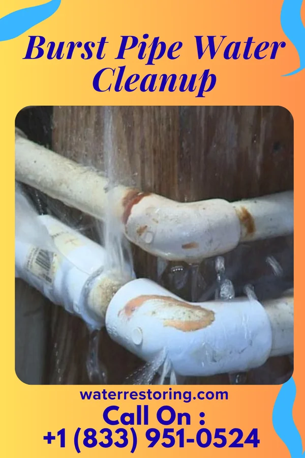 Burst Pipe Water Cleanup in Wing, ND