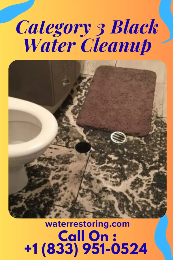 Category 3 Black Water Cleanup in Wing, ND
