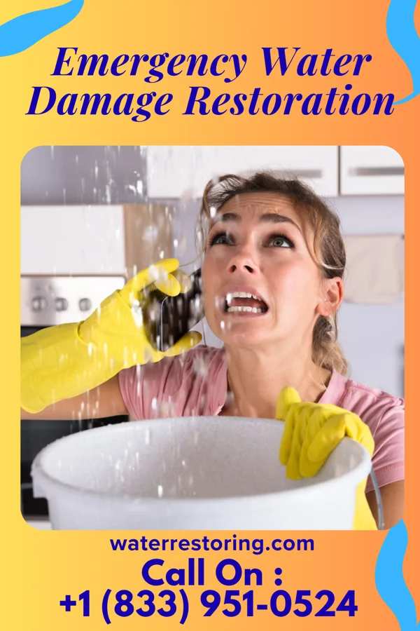 Emergency Water Damage Restoration in Wing, ND