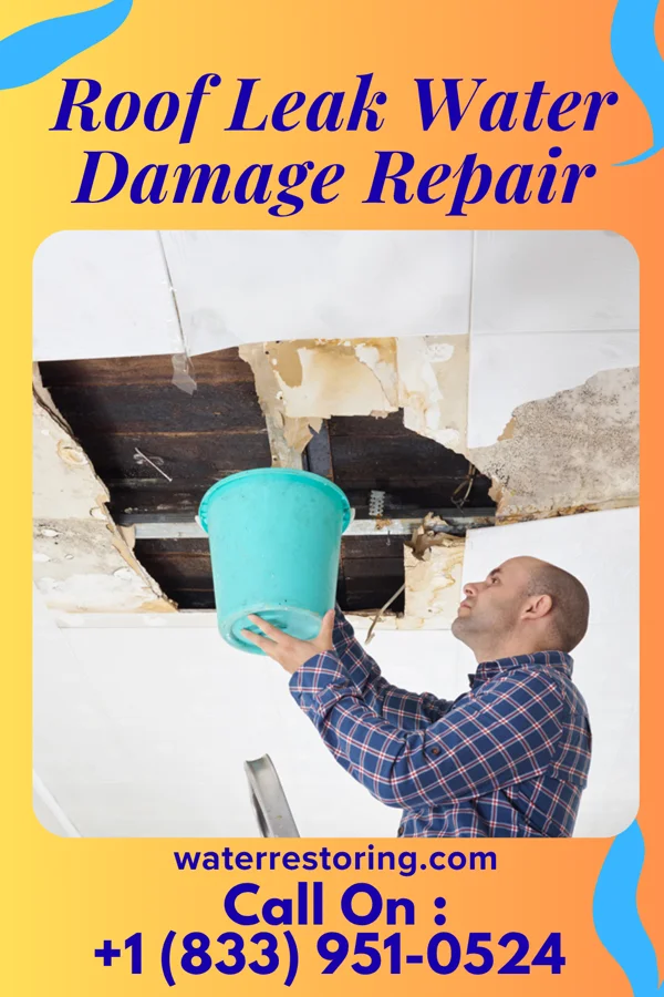 Roof Leak Water Damage Repair in Wing, ND