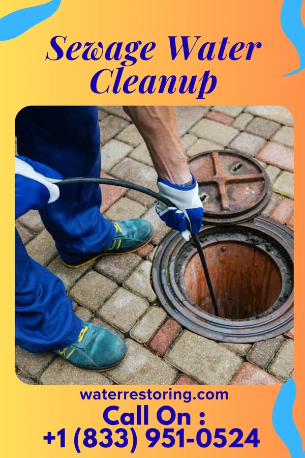 Sewage Water Cleanup in Wing, ND